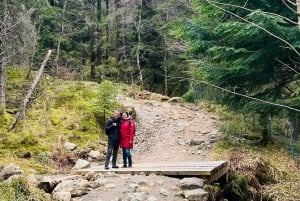 Bergen Magische Natuurtour | ViFlowExperience