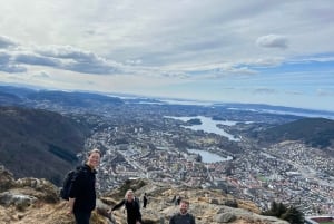 Bergen Magische Natuurtour | ViFlowExperience