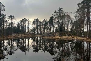 Bergen Magische Natuurtour | ViFlowExperience