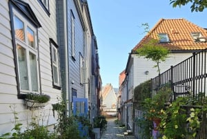 Bergen como um local: Cultura, vistas e a Stave Church
