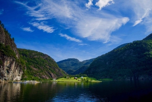 Bergen: Mostraumen Fjord Cruise with Local Guide