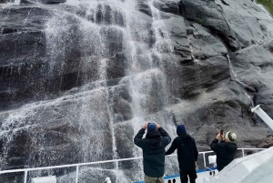 Bergen: Mostraumen Fjord Cruise with Local Guide