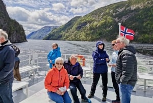 Bergen: Mostraumen Fjord Cruise with Local Guide