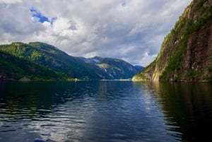 Bergen: Mostraumen Fjord Cruise with Local Guide