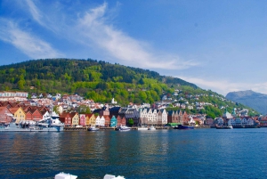 Bergen: Mostraumen Fjord Cruise with Local Guide