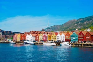 Bergen: Mostraumen Fjord Cruise with Local Guide