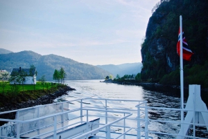 Bergen: Mostraumen Fjord Cruise with Local Guide