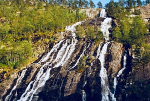 Bergen: Mostraumen Fjord Cruise with Local Guide