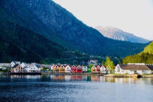 Bergen: Mostraumen Fjord Cruise with Local Guide