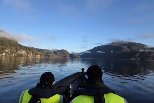 Bergen: Mostraumen Fjord Safari by Premium RIB Boat
