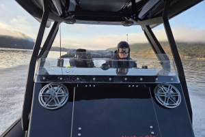 Bergen: Mostraumen Fjord Safari by Premium RIB Boat