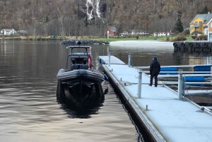 Bergen: Mostraumen Fjord Safari by Premium RIB Boat