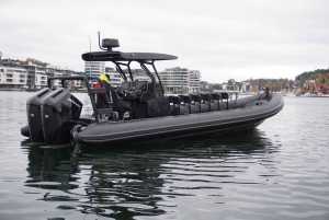 Bergen: Mostraumen Fjord Safari by Premium RIB Boat