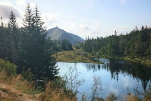 Bergen: Begeleide bergwandeling op de top van Bergen