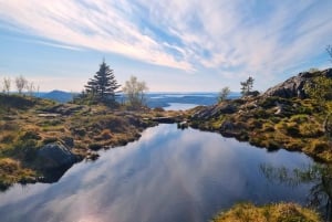 Bergen: Begeleide bergwandeling op de top van Bergen