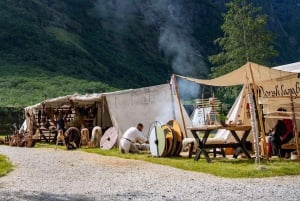 Z Bergen do Oslo: rejs premium po Nærøyfjord i kolejka Flåm