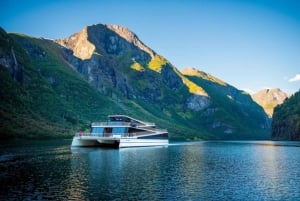 Bergen: Nærøyfjord-cruise og Flåmsbana til Oslo