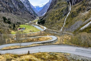 Bergen: Nærøyfjord Cruise, Stalheim Walk & Undredal Village