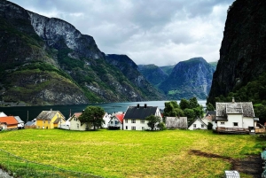 Bergen: Nærøyfjord Cruise, Stalheim Walk & Undredal Village