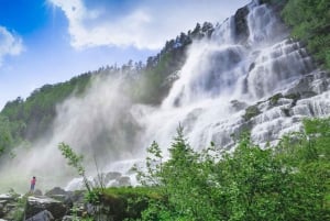 Bergen: Nærøyfjorden, Flåm und Stegastein – geführte Bustour