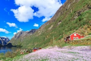 Bergen: Nærøyfjorden, Flåm und Stegastein – geführte Bustour