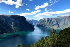 Bergen: Nærøyfjorden, Flåm und Stegastein – geführte Bustour
