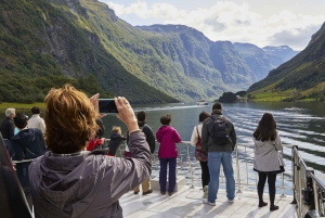 Bergen: Nærøyfjorden, Flåm und Stegastein – geführte Bustour