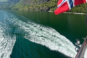 Bergen: Nærøyfjorden, Flåm und Stegastein – geführte Bustour