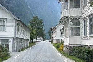 Bergen: Nærøyfjorden, Flåm und Stegastein – geführte Bustour
