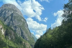 Bergen: Nærøyfjorden, Flåm und Stegastein – geführte Bustour