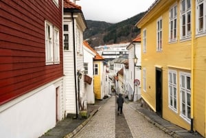 Bergen : Visite à pied des joyaux cachés du quartier de Nordnes