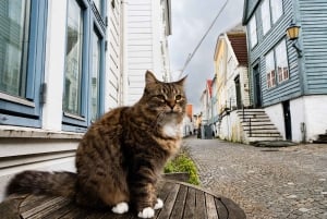 Bergen : Visite à pied des joyaux cachés du quartier de Nordnes