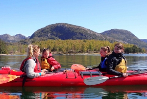 Bergen: excursão guiada de caiaque pelas ilhotas de Øygarden