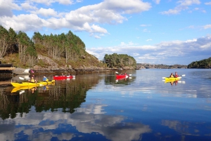 Bergen: excursão guiada de caiaque pelas ilhotas de Øygarden