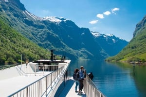 Bergen: Private Day Tour, Nærøyfjord Cruise and Flåm Railway