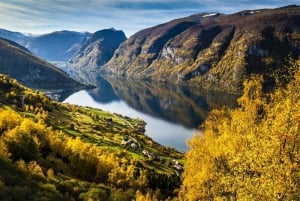 Bergen: Private Day Tour, Nærøyfjord Cruise and Flåm Railway