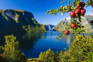Bergen: Private Day Tour, Nærøyfjord Cruise and Flåm Railway