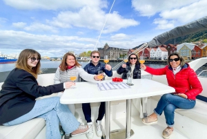 Bergen: Private Evening Yacht Cruise with Snacks and Wine