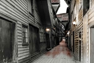 ベルゲン：プライベートガイド付き市内観光ツアー