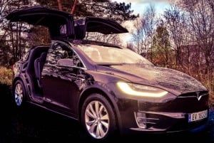 ベルゲン：プライベートガイド付き市内観光ツアー