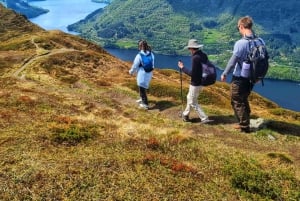 Bergen: Privéwandeling door het fjord met gids