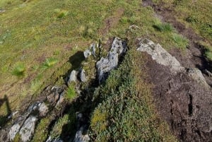 Bergen: Privéwandeling door het fjord met gids