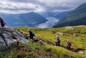 Bergen: Privéwandeling door het fjord met gids