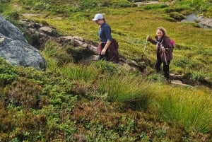 Bergen: Privéwandeling door het fjord met gids
