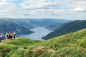 Bergen: Privéwandeling door het fjord met gids
