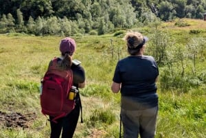 Bergen: Privéwandeling door het fjord met gids