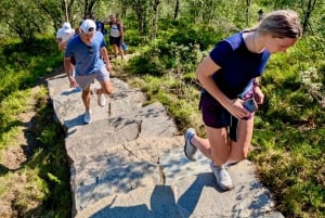 Bergen: Privéwandeling door het fjord met gids