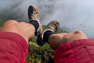 Bergen: Privéwandeling door het fjord met gids