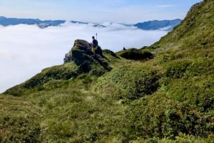 Bergen: Privéwandeling door het fjord met gids