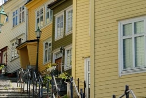 Bergen: tour particular em seu próprio idioma